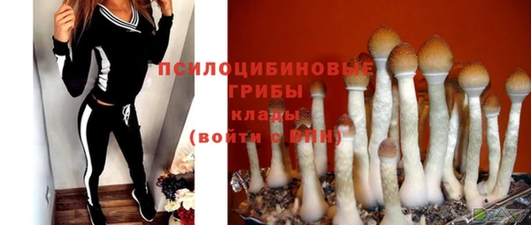 а пвп мука Алексеевка
