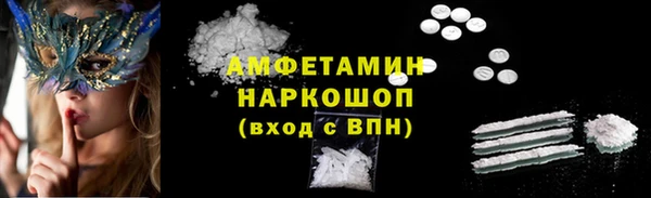 ГАЛЛЮЦИНОГЕННЫЕ ГРИБЫ Гусев
